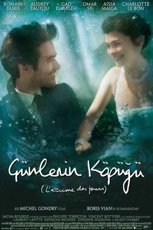 Günlerin Köpüğü film afişi