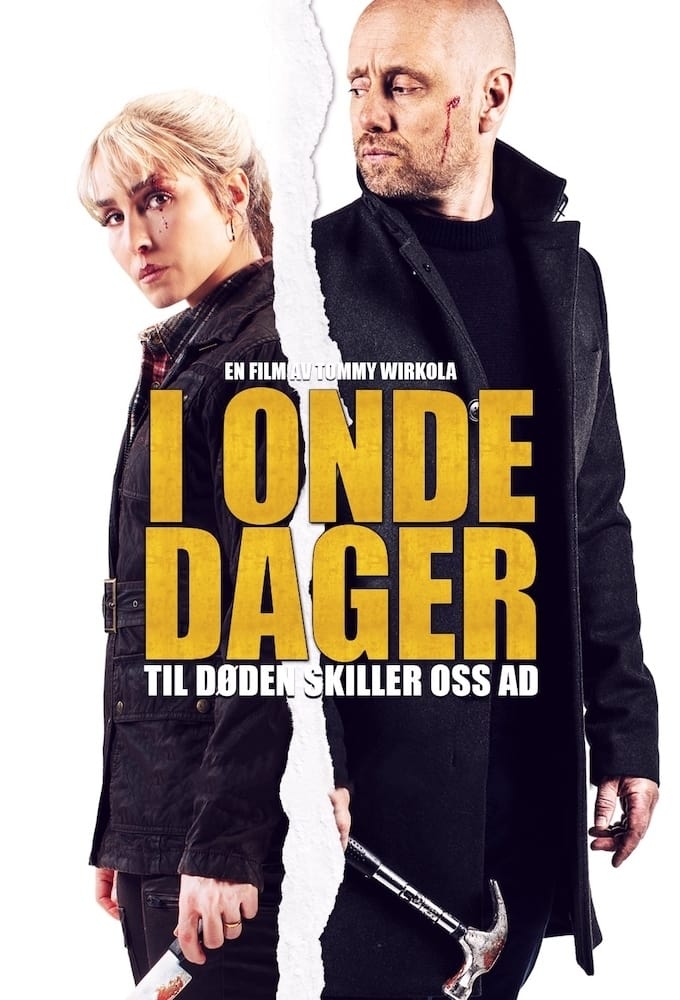 İyi Katiller Sevgilim film afişi
