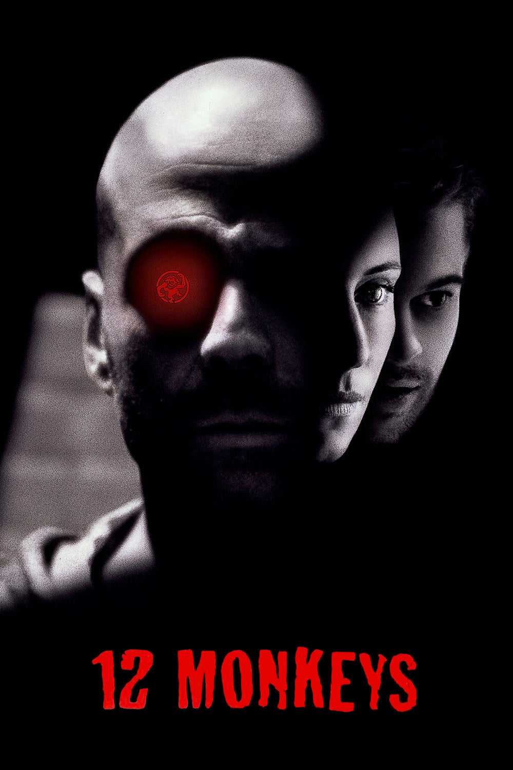12 Maymun film afişi