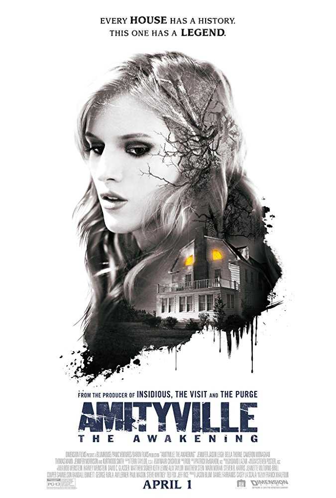 Amityville: Uyanış film afişi