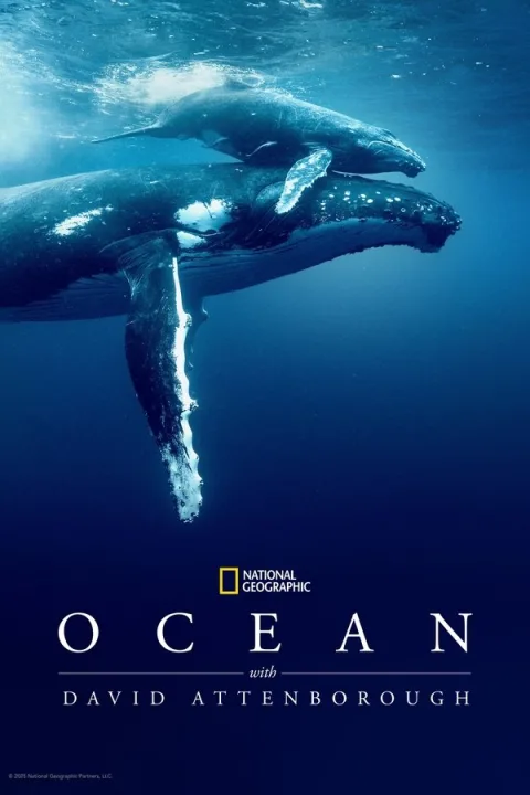 David Attenborough ile Okyanus