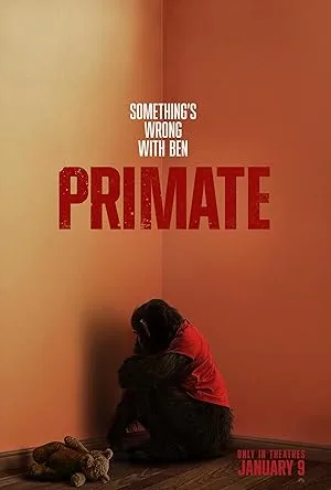 Primat